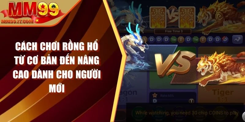 Cách chơi rồng hổ
