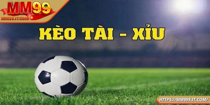 Lực lượng ra sân của các đội chơi
