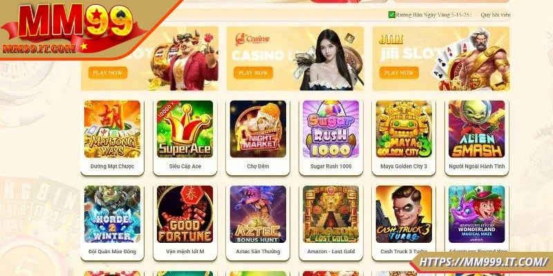 Giới thiệu MM99 về thông tin tổng quan