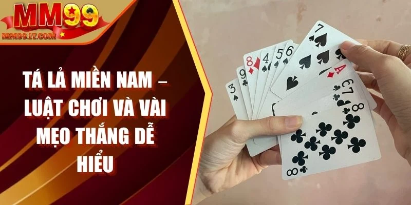 Tá lả miền Nam