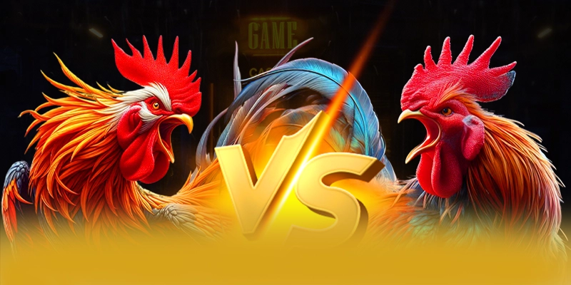 An toàn dữ liệu cá nhân tại 8XBET