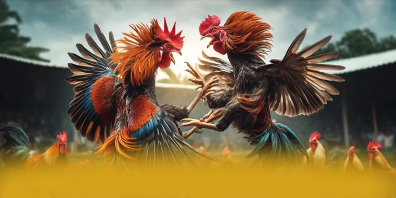 Phản hồi từ cộng đồng người chơi về BET168 Phản hồi từ cộng đồng người chơi về BET168