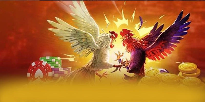 8xbet - Lời kết một cách tổng quan. 8xbet - Lời kết một cách tổng quan.